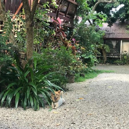 Baan Songjum Otel Chiang Mai Dış mekan fotoğraf