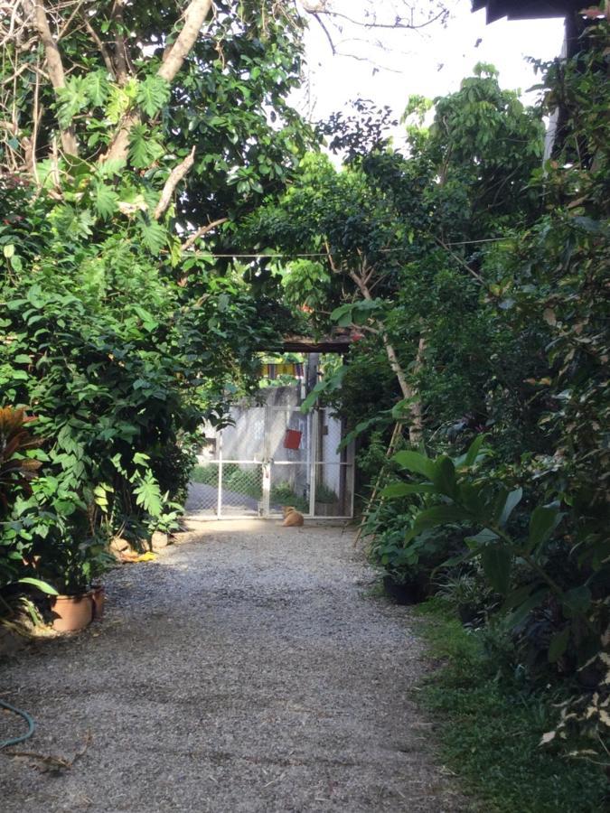 Baan Songjum Otel Chiang Mai Dış mekan fotoğraf