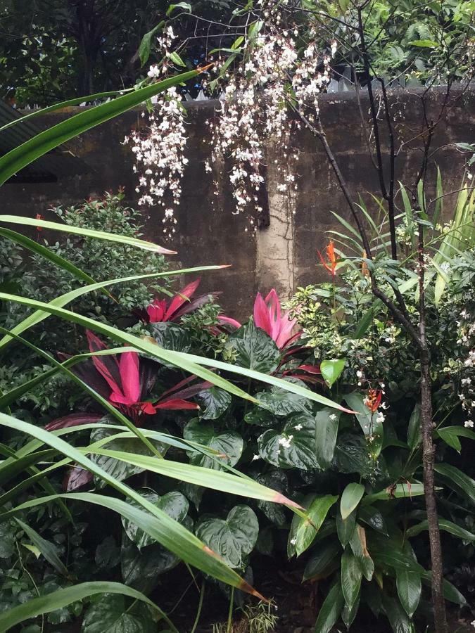 Baan Songjum Otel Chiang Mai Dış mekan fotoğraf